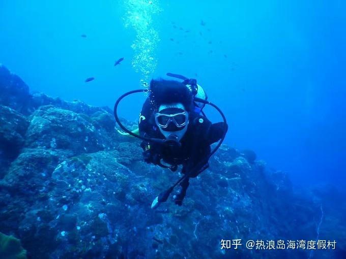 见缝插刀2