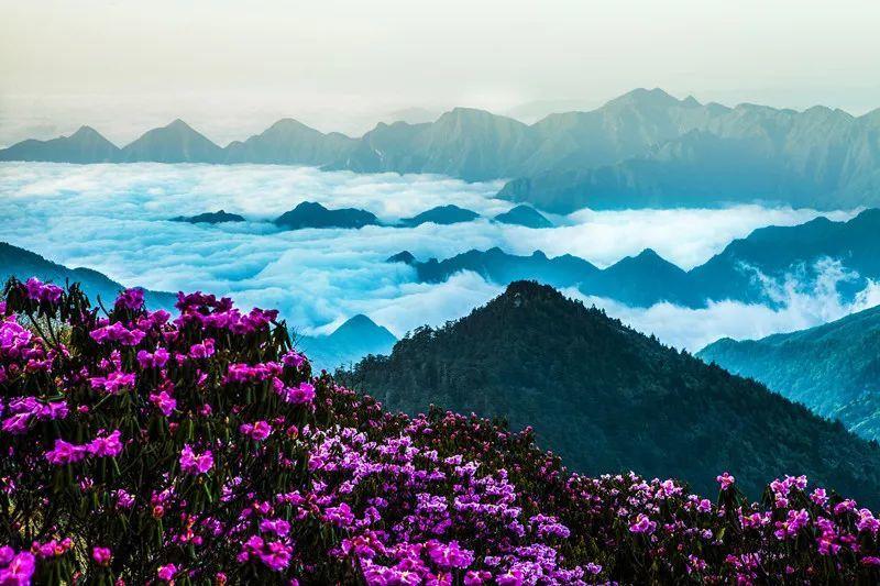 脑洞小老弟无实名认证