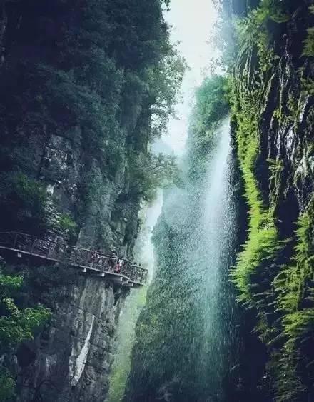 蝴蝶消消乐